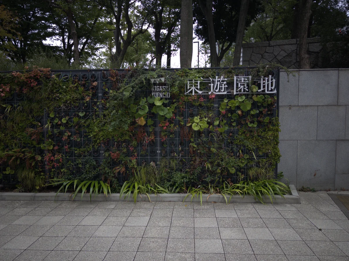 東遊園地の植栽壁